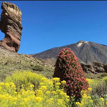 Prázdninový dům Live La Caleta Salinas Del Mar *